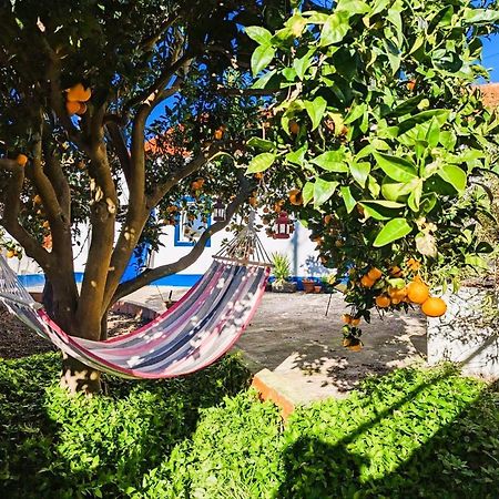 Cozy 3 Bedroom Home - Close To Beach Lourinhã Kültér fotó