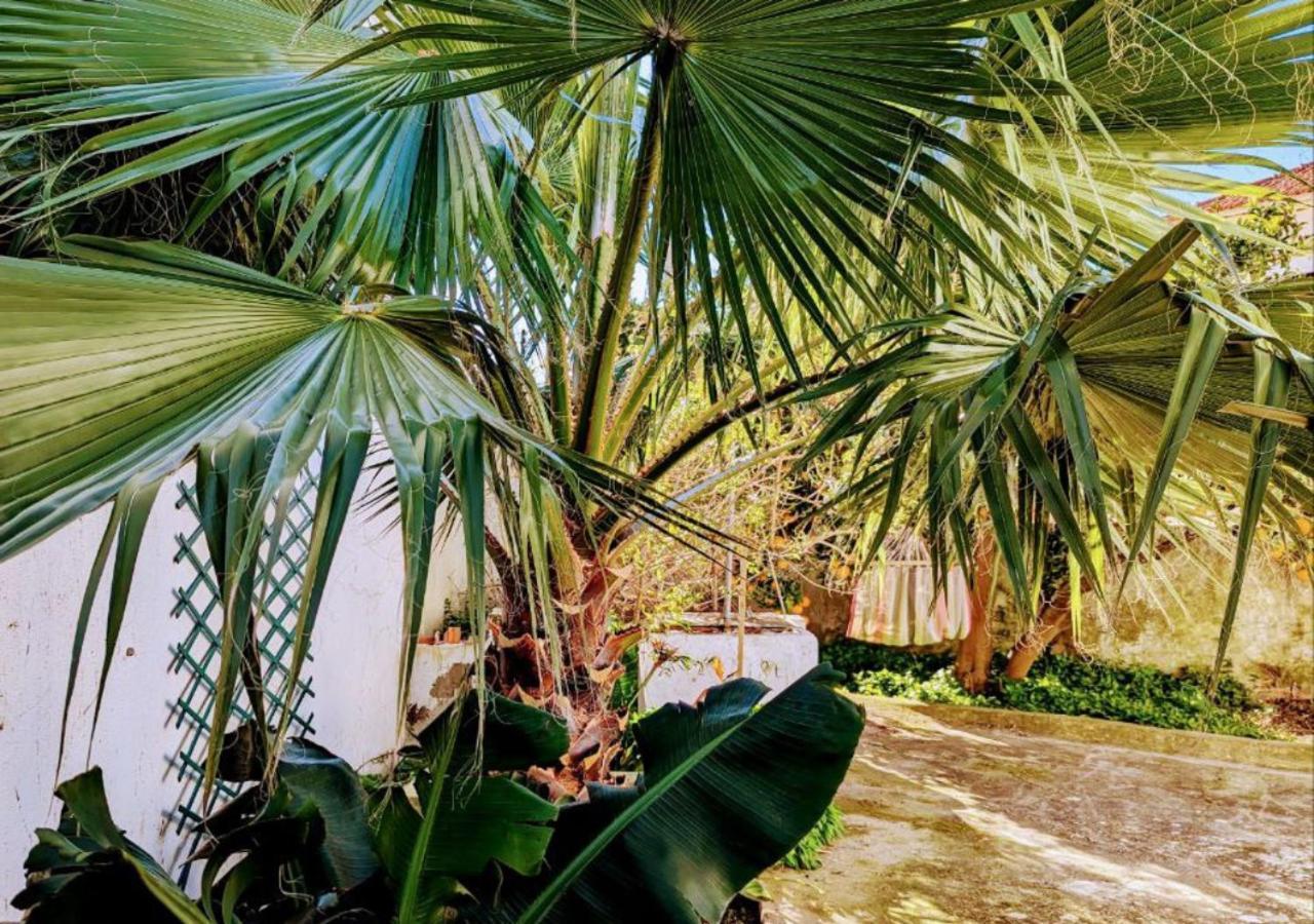 Cozy 3 Bedroom Home - Close To Beach Lourinhã Kültér fotó