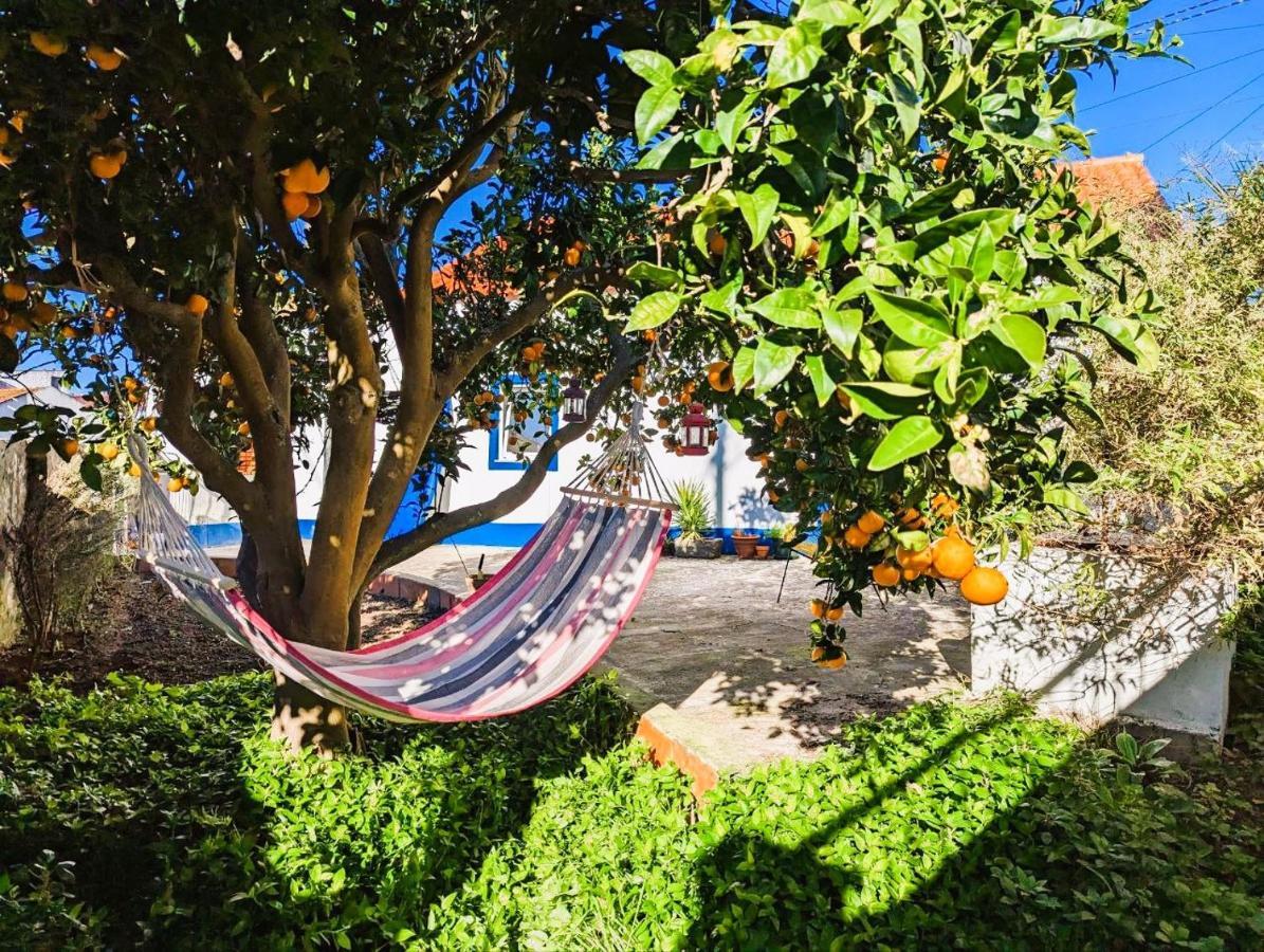 Cozy 3 Bedroom Home - Close To Beach Lourinhã Kültér fotó