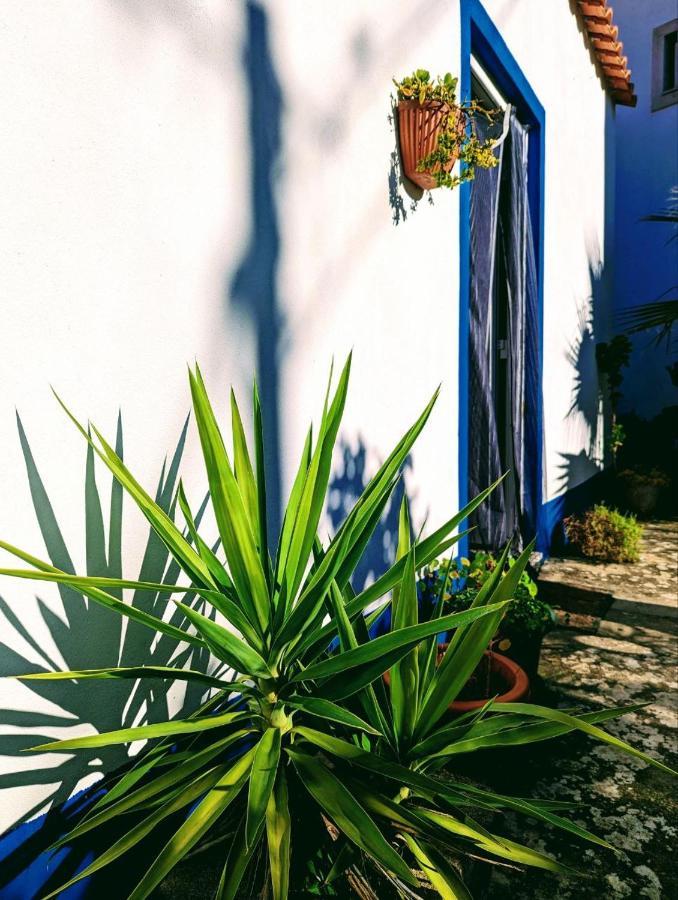 Cozy 3 Bedroom Home - Close To Beach Lourinhã Kültér fotó